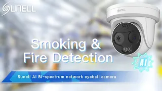 Sunell AI Bi-spectrum Rede Eyeball Camera