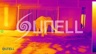 Sunell Thermal Camera - Dança do Elefante