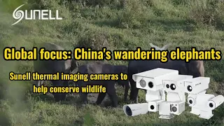 Câmeras de imagem térmica Sunell para ajudar a conservar a vida selvagem