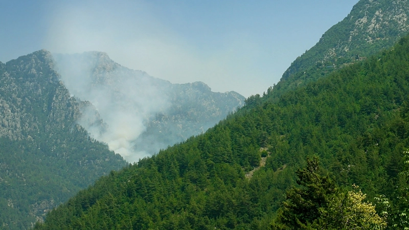 A IA melhora a previsão e prevenção de incêndios florestais, protegendo a natureza e protegendo vidas